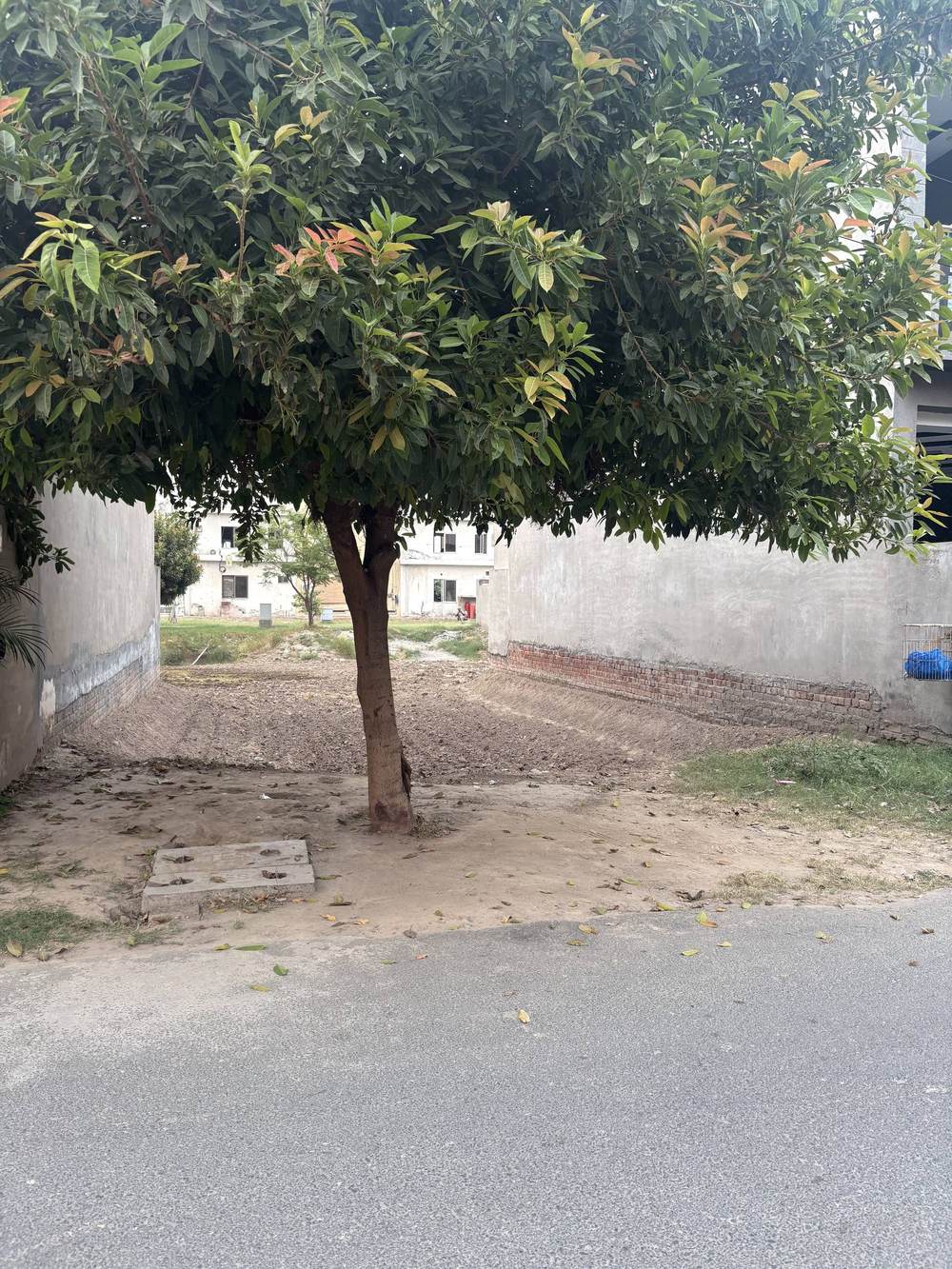 5 Marla Plot for sale in Rose Block, Park View City Lahore