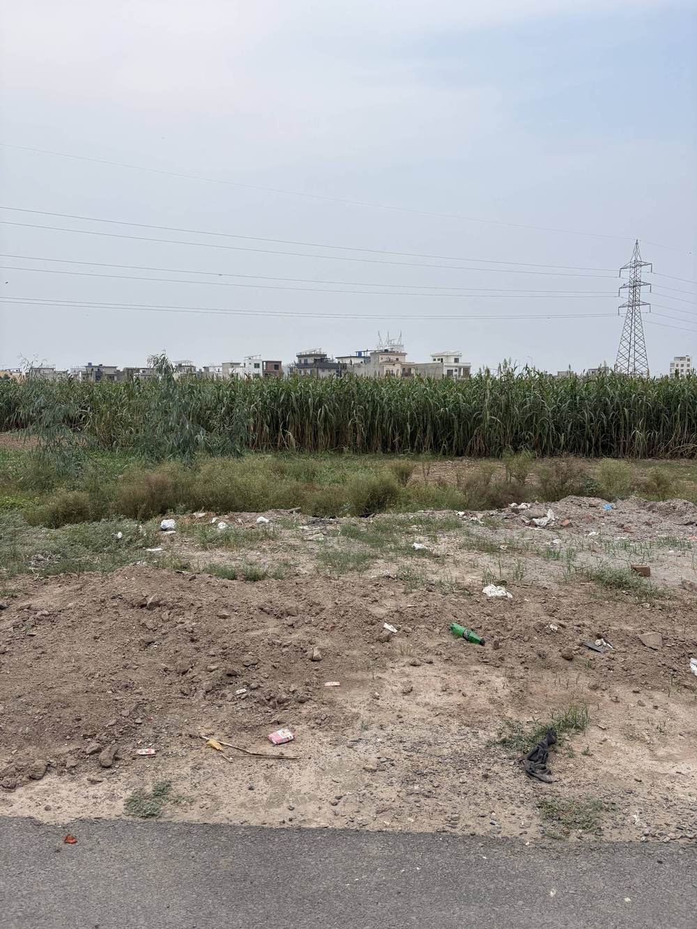 5 Marla Corner Plot for sale in Tulip Overseas, Park View City Lahore